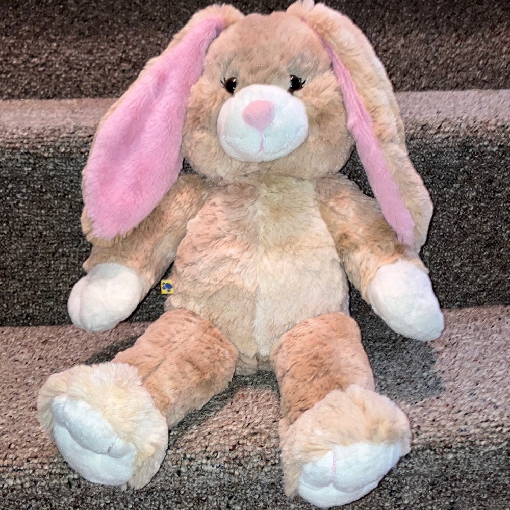 Gently Loved - Build-A-Bear Bunny